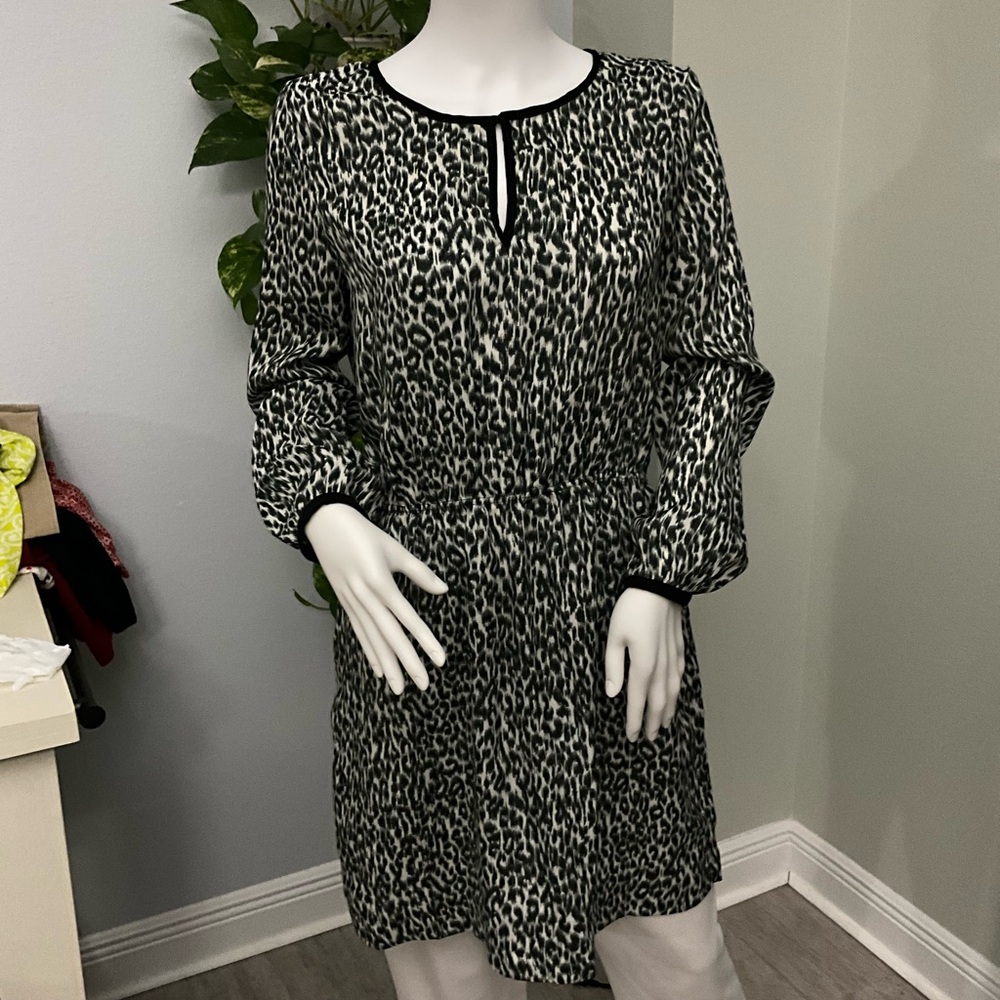 Zara Black and White Sheath Dress with Crew Neck